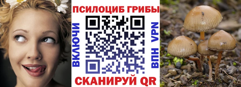 Псилоцибиновые грибы Cubensis  купить   Разумное 